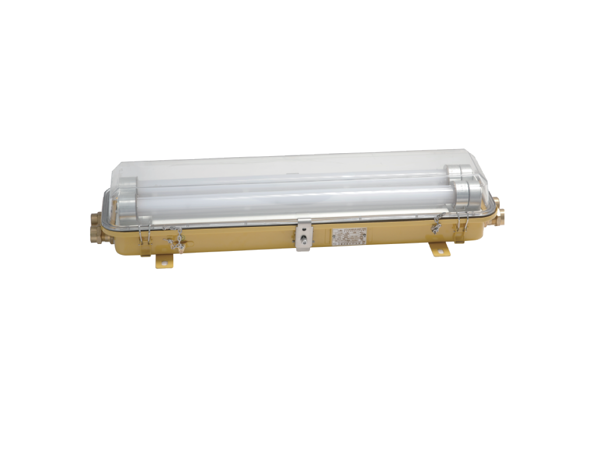 Đèn Huỳnh Quang Chống Cháy Nổ CYFD20-2 -MarineZone